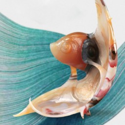 Выставка «От Невы до Амура»