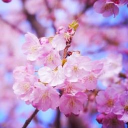 Топ-10 лучших событий в Екатеринбурге в выходные 1, 2 и 3 мая 2026 г.