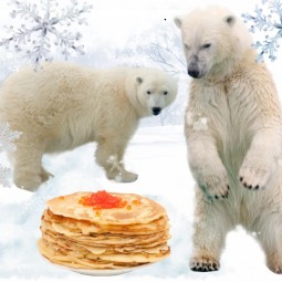 Афиша екатеринбургского зоопарка  — февраль 2026