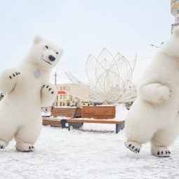 Каток «Ледок» рядом с ТЦ Veer Mall Екатеринбург 2024-25