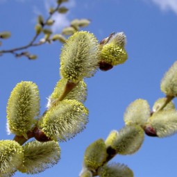 Топ-10 лучших событий в Екатеринбурге в выходные 4 и 5 апреля 2026 г.