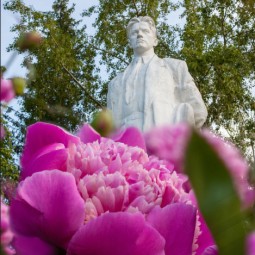 Своп «Три куста: кусты & книги»