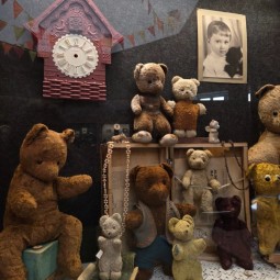 Выставка «Вековая дружба: плюшевые мишки сквозь время»