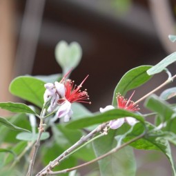 Афиша Дендропарка в Екатеринбурге - апрель 2026