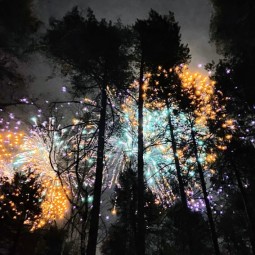 Салют в честь Дня защитника Отечества 2026