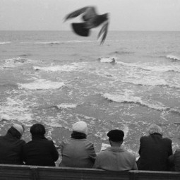Выставка «Моментальная фотография. Сергей Рогожкин»