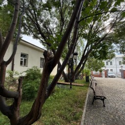 Фестиваль во дворе