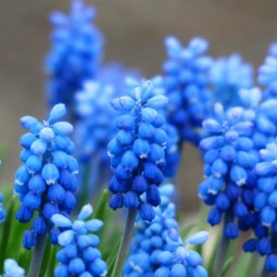 Топ-10 лучших событий в Екатеринбурге в выходные 25 и 26 апреля 2026 г.