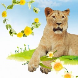 Афиша екатеринбургского зоопарка  — апрель 2026