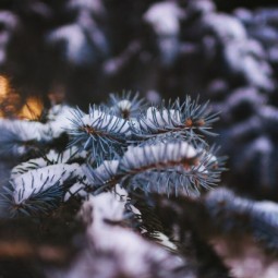 Топ-10 лучших событий в Екатеринбурге в выходные 22 и 23 ноября 2025 г.