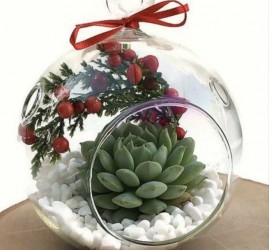 Афиша Дендропарка Екатеринбурга на 8 и 10 января 2026 г.