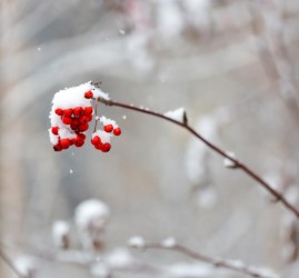 Топ-15 лучших событий в Екатеринбурге в выходные 15 и 16 ноября 2025 г.