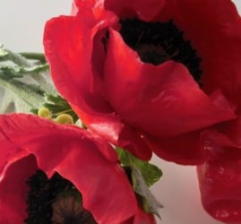 Выставка «Ботаническая скульптура»