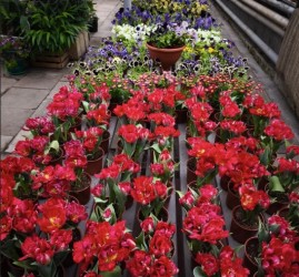 Фестиваль «Дыхание весны»