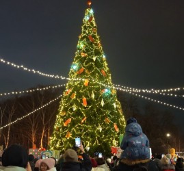 Афиша новогодних праздников 2026 в парке Маяковского