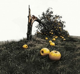 Спектакль «Все мои сыновья»