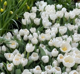 Топ-10 лучших событий в Екатеринбурге в выходные 28 и 29 марта 2026 г.