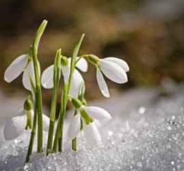 Топ-10 лучших событий в Екатеринбурге в выходные 14 и 15 марта 2026 г.