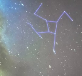 Лекция «Небо на дату: весеннее равноденствие»