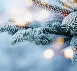 Бардовский фестиваль «Рождественские огни»