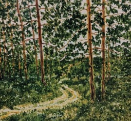 Выставка «Изобилие природы»