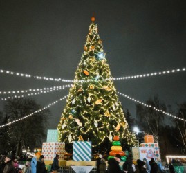 Новогодняя ночь в Парке Маяковского