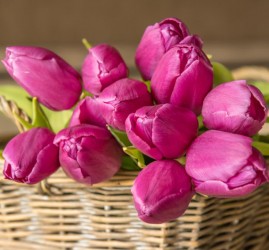 Топ-10 лучших событий в Екатеринбурге в выходные 7, 8 и 9 марта 2026 г.