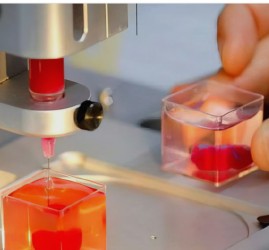 Фестиваль науки «Кстати» 2025