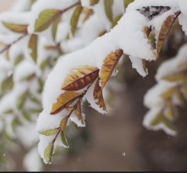 Топ-10 лучших событий в Екатеринбурге в выходные 8 и 9 ноября 2025 г.