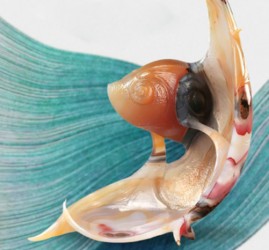 Выставка «От Невы до Амура»