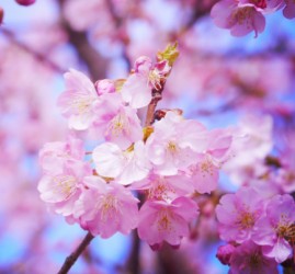 Топ-10 лучших событий в Екатеринбурге в выходные 1, 2 и 3 мая 2026 г.