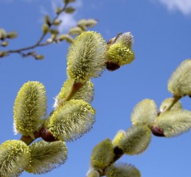 Топ-10 лучших событий в Екатеринбурге в выходные 4 и 5 апреля 2026 г.