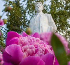 Своп «Три куста: кусты & книги»