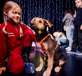 Бесплатное занятие зоошколы «Обнимаю лапами» - апрель 2026