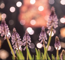 Топ-10 лучших событий в Екатеринбурге в выходные 18 и 19 апреля 2026 г.