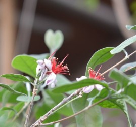 Афиша Дендропарка в Екатеринбурге - апрель 2026