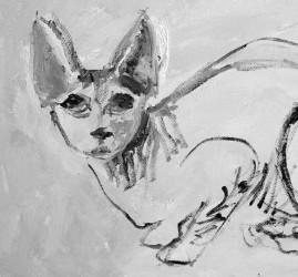 Выставка «Десять НеКотят»