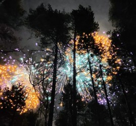 Салют в честь Дня защитника Отечества 2026