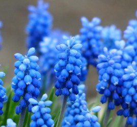 Топ-10 лучших событий в Екатеринбурге в выходные 25 и 26 апреля 2026 г.