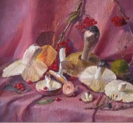 Выставка «Грибарий/Гербарий. Выставка нашего леса»