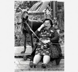 Выставка «Кадровый голод: Тофик Шахвердиев»