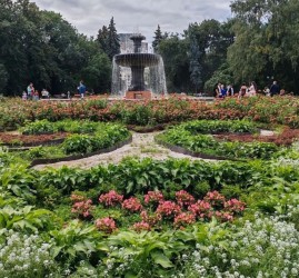 Афиша Дендропарка в Екатеринбурге - сентябрь 2026