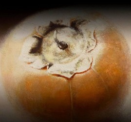 Выставка «Искусство в подарок»