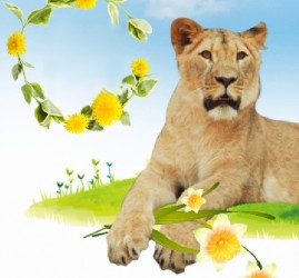 Афиша екатеринбургского зоопарка  — апрель 2026