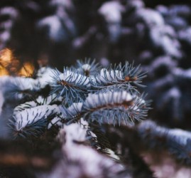 Топ-10 лучших событий в Екатеринбурге в выходные 22 и 23 ноября 2025 г.