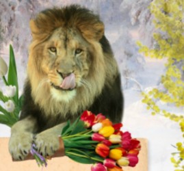 Афиша екатеринбургского зоопарка  — март 2026