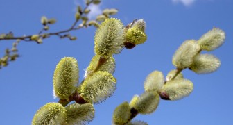 Топ-10 лучших событий в Екатеринбурге в выходные 4 и 5 апреля 2026 г.