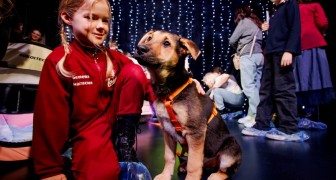 Бесплатное занятие зоошколы «Обнимаю лапами» - апрель 2026