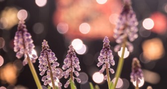 Топ-10 лучших событий в Екатеринбурге в выходные 18 и 19 апреля 2026 г.