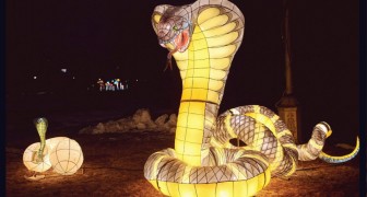 Фестиваль гигантских фонарей «Королевство волшебных огней»